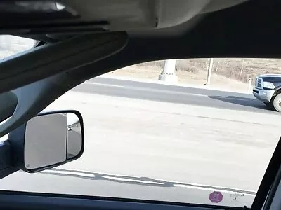 فینکس میری کی گدی اور بلی شگڈ ہارڈکور