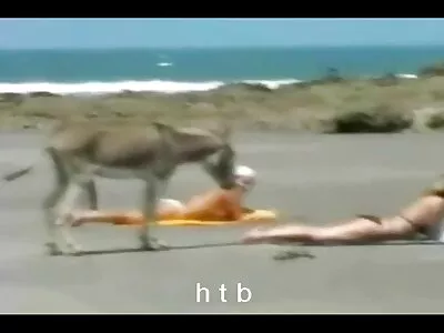 گرم بیبس اپنے خوبصورت پڑوسی کو چود رہے ہیں۔